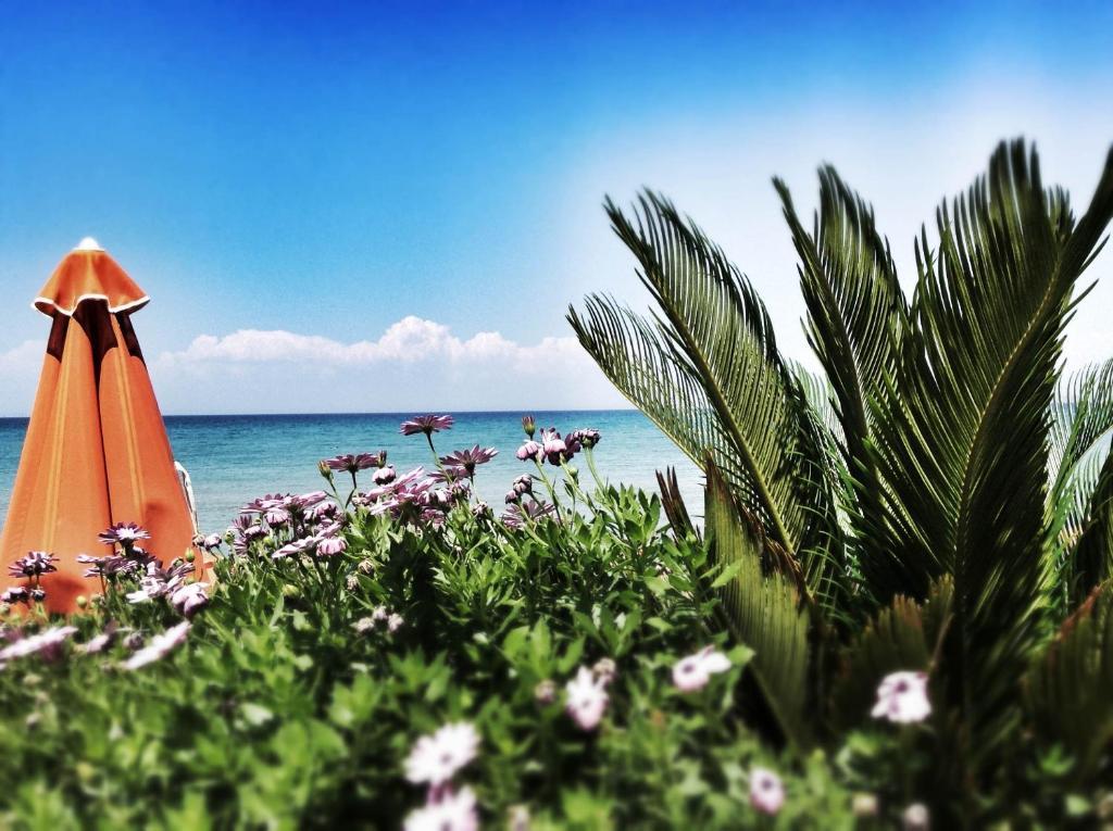 Al Mare Τσιλιβί